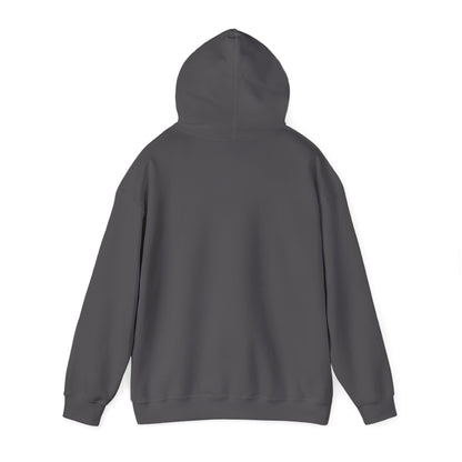 Men's Jeffery Epstein Hoodie